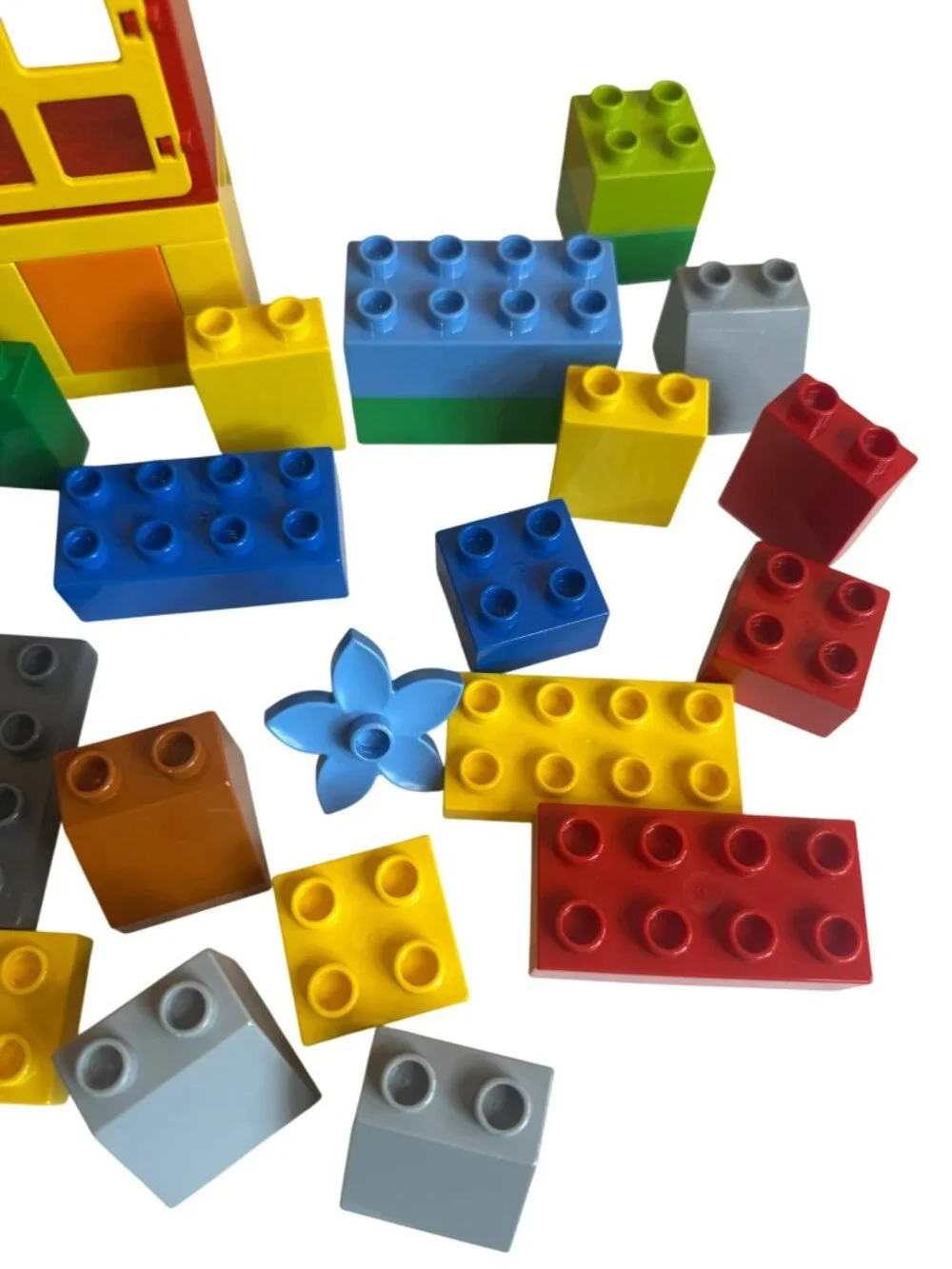 LEGO Duplo Large Lot of Building Bricks Cat Windows Baseplate Flower Etc.
